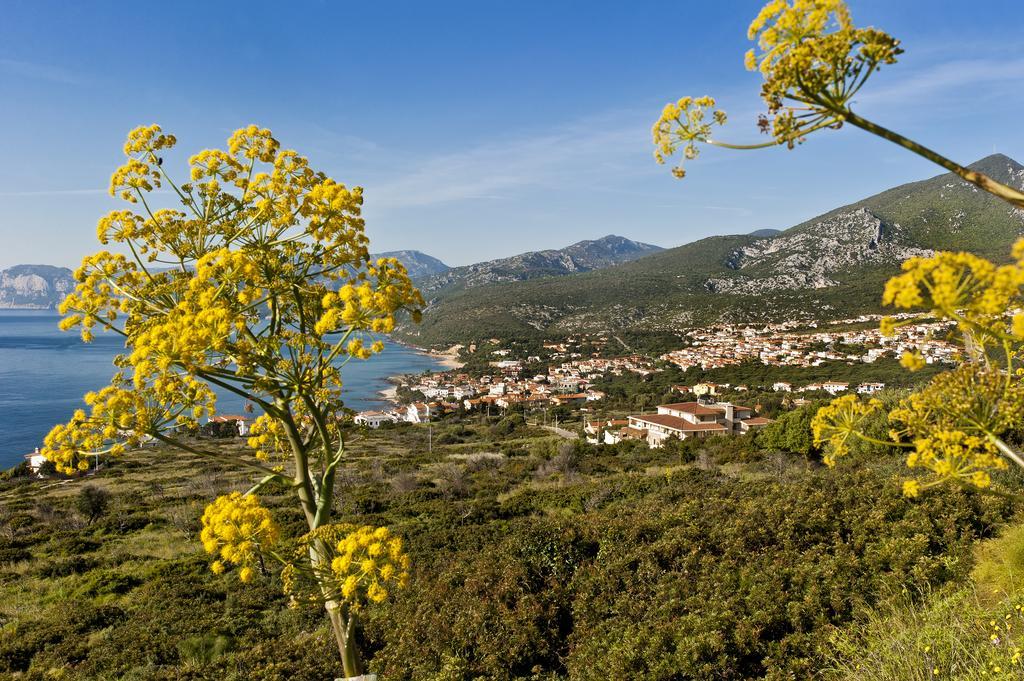 Hotel Brancamaria Cala Gonone Eksteriør bilde